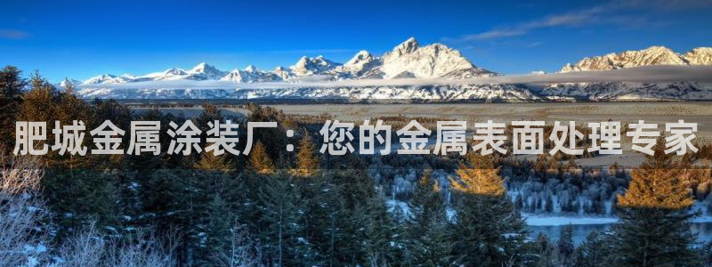 美高梅卡颜色等级