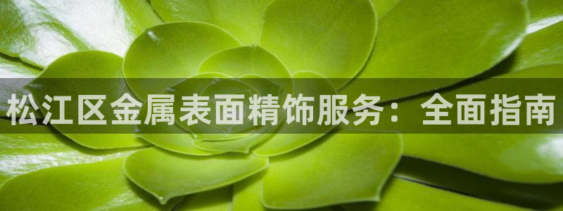 美狮美高梅酒店风水