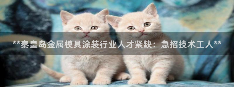 美高梅酒店开业动向