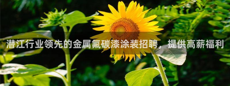 美高梅官方版app充值