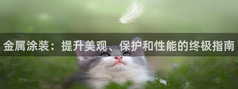 美高梅别墅是精装吗