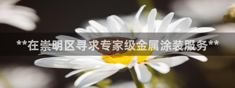 香港美高梅是做什么的