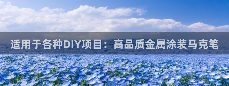 美高梅别墅户型图