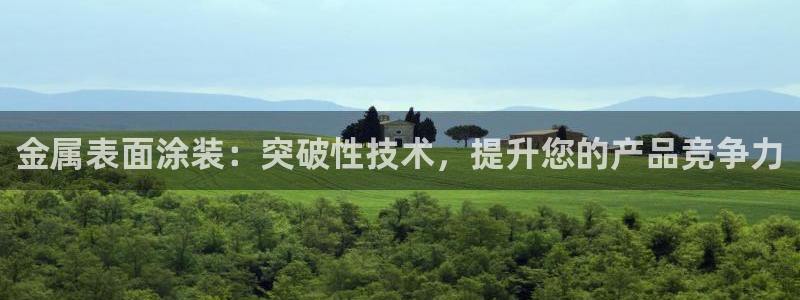 美高梅大酒店老板是谁
