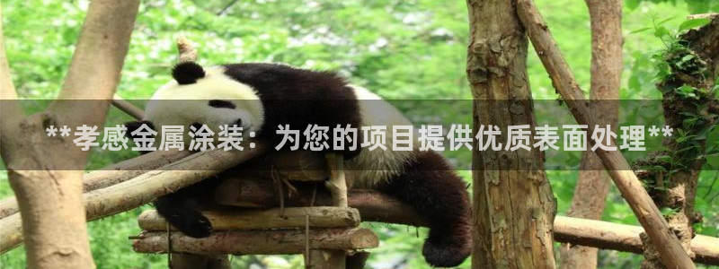美高梅酒店开业动向