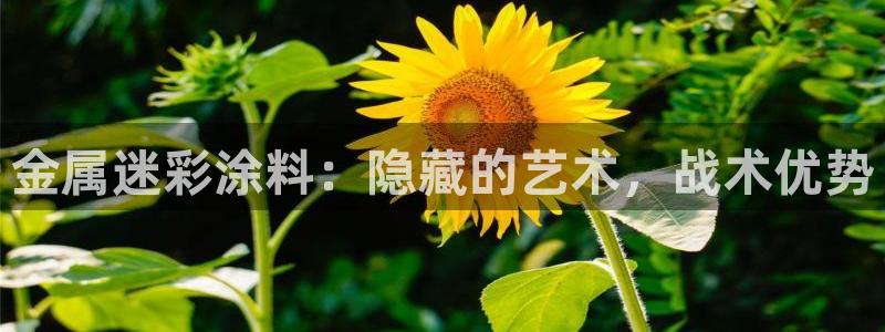 美高梅奶茶