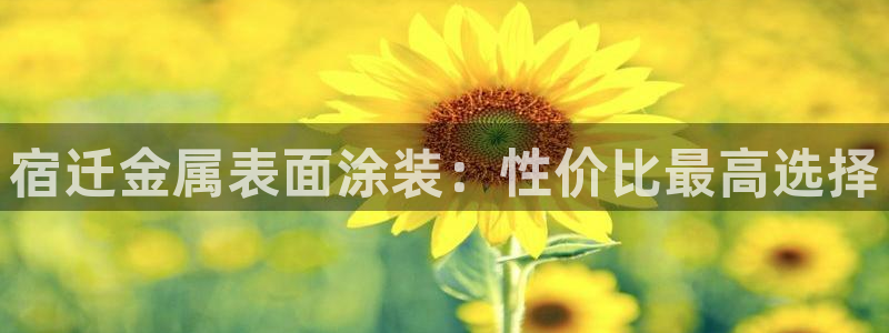 美高梅会员卡等级图片