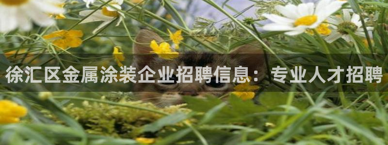 美高梅酒店品牌系列