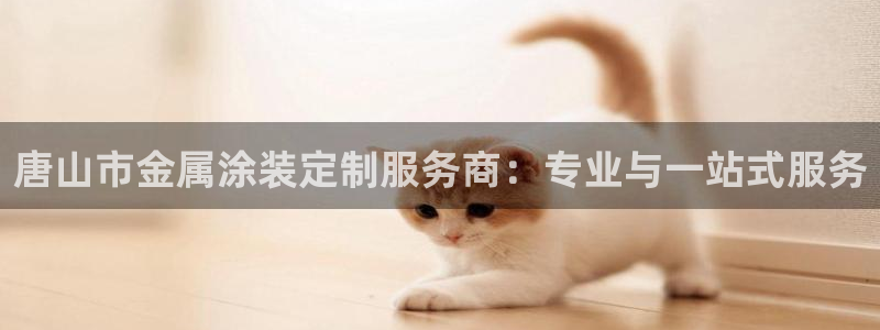 美高梅集团是哪个国家