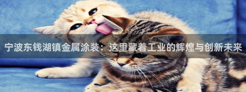 鲁能美高梅别墅容积率：宁波东钱湖镇金属涂