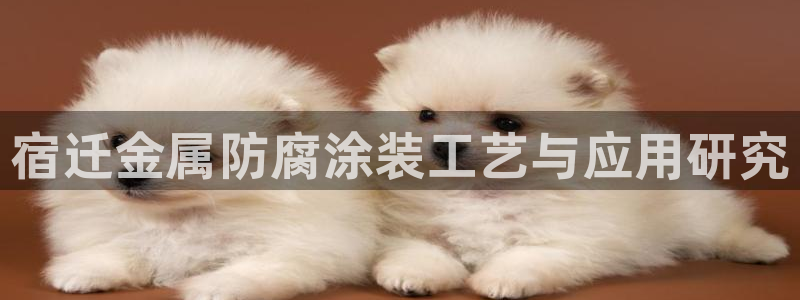 美高梅金卡匹配