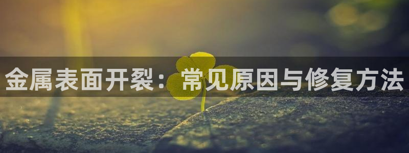 美高梅酒店房卡