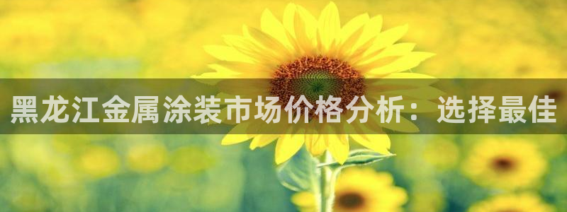 美高梅中国是什么公司