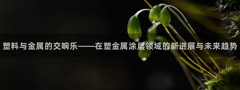 美高梅开业时间