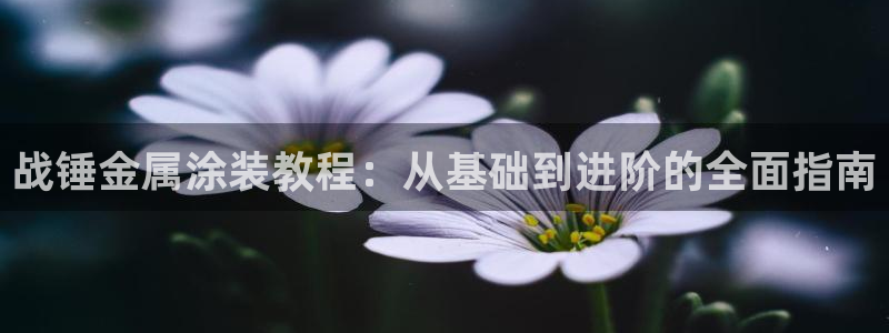 美高梅酒店在中国有几家