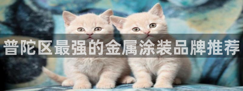 美高梅酒店澳门照片