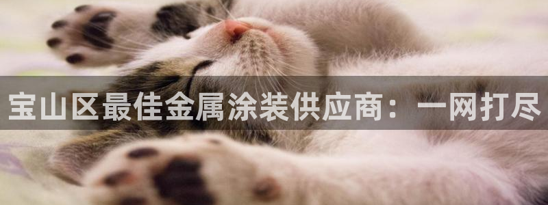 美高梅酒店招聘信息