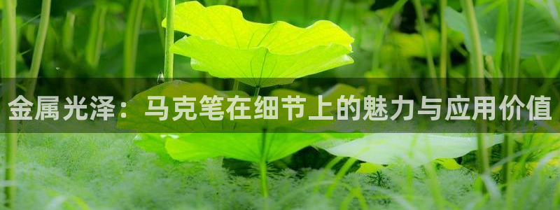 美高梅酒店可以抽烟吗