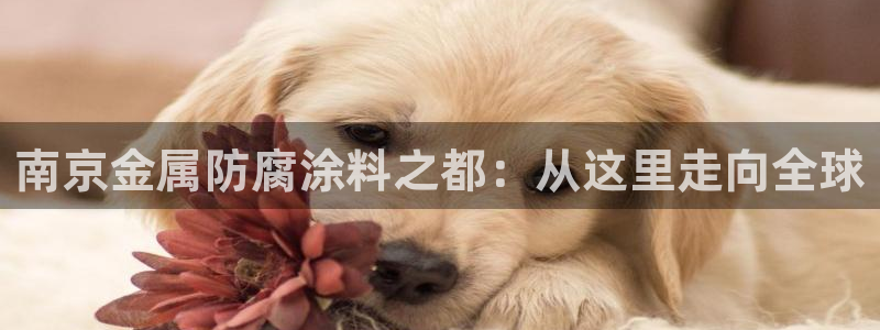 美高梅中国股票2282