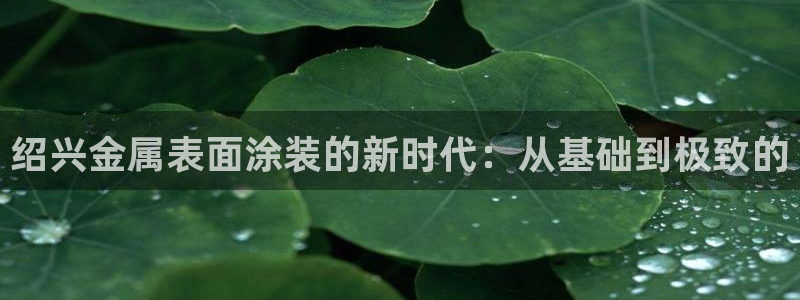美高梅股票股价：绍兴金属表面涂装的新时代