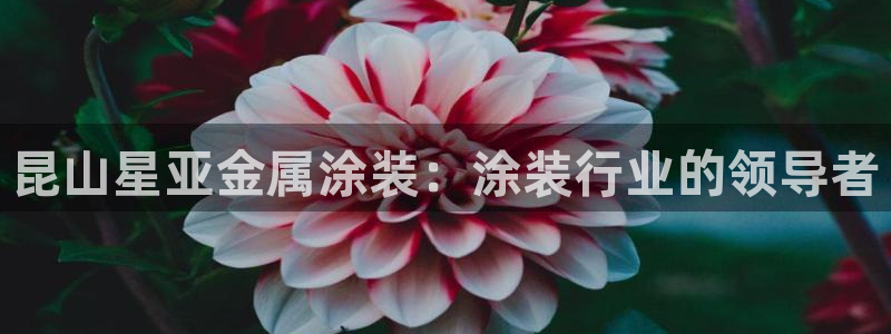 美高梅北京物业管理有限公司