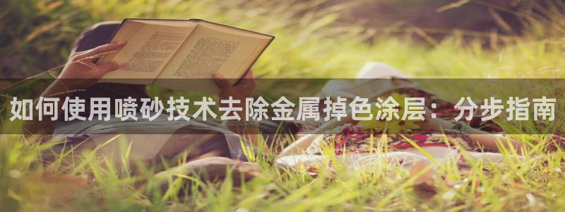 美高梅卡是什么