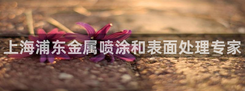 美高梅酒店会员