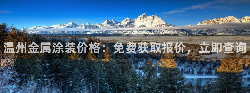 美高梅在澳门有几家门店