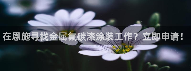 美高梅国际酒店集团介绍