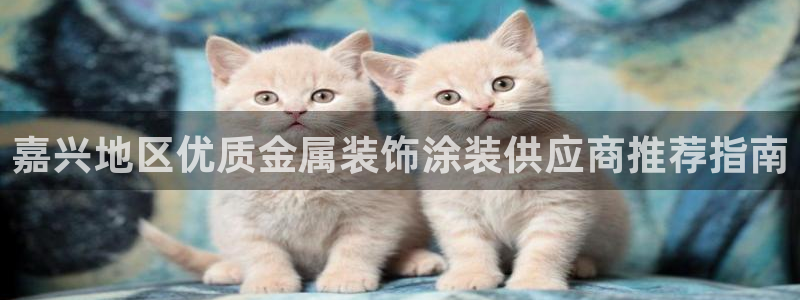 美高梅酒店在哪个区