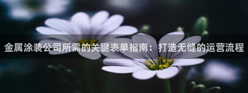 美高梅是干什么的