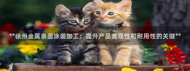 美高梅网投总站