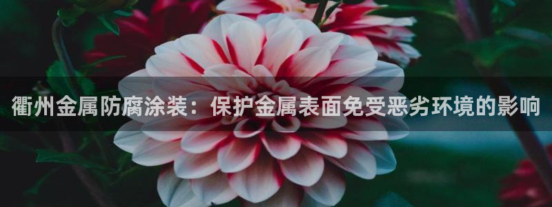 美高梅下载苹果版