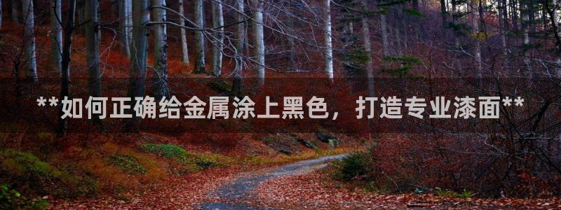 美高梅筹码颜色对应面值