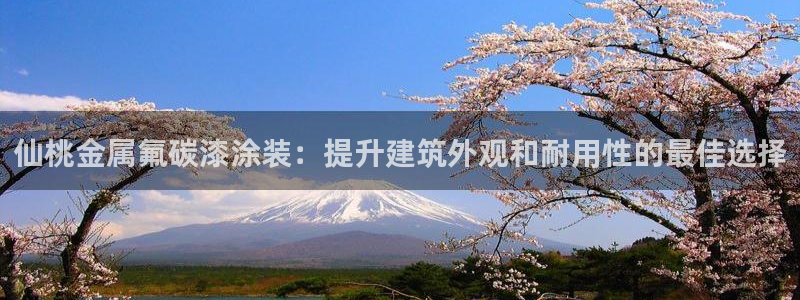 美高梅游戏攻略