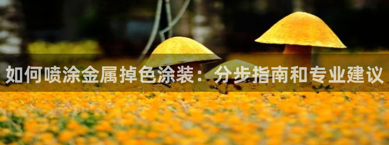 美高梅酒店发展历史