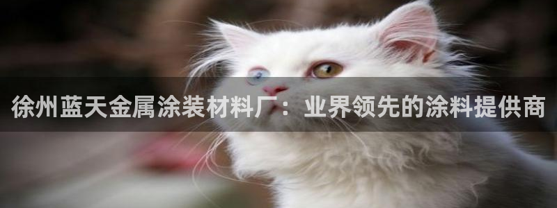 美高梅别墅是精装吗