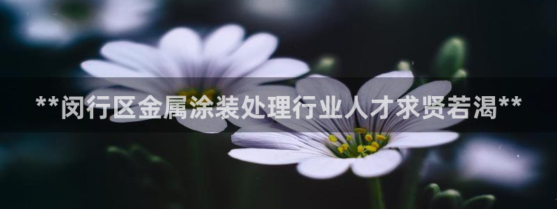 美狮美高梅酒店积分换房