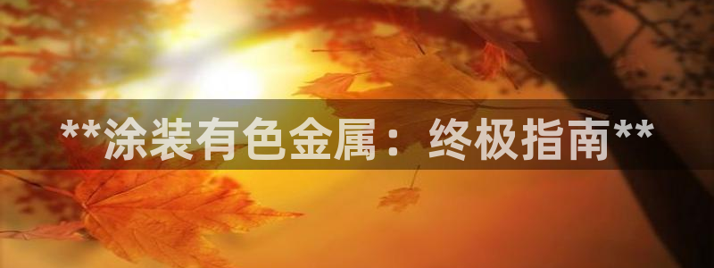 美高梅是谁的资产