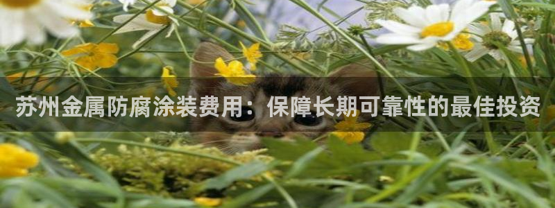 美高梅酒店多少钱一晚三亚