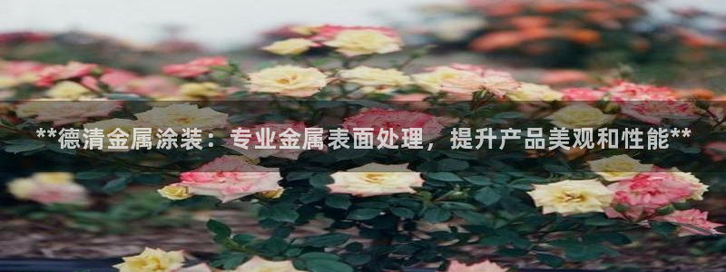 何超琼建美高梅酒店有什么意义