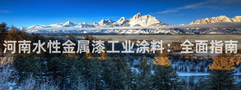 美高梅酒店集团简介