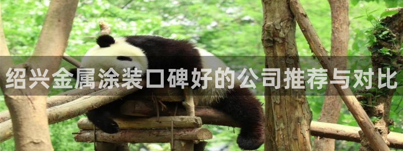 美高梅酒店里的饮料免费吗