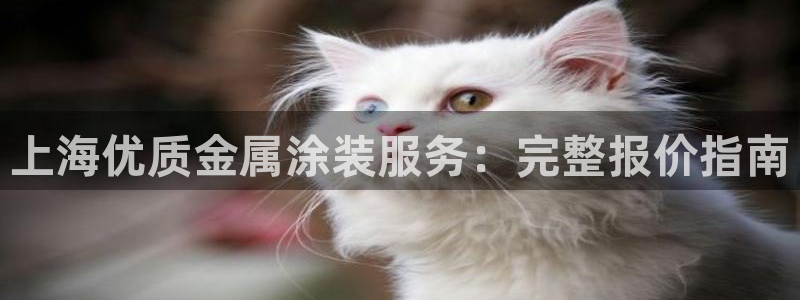 美高梅酒店风水