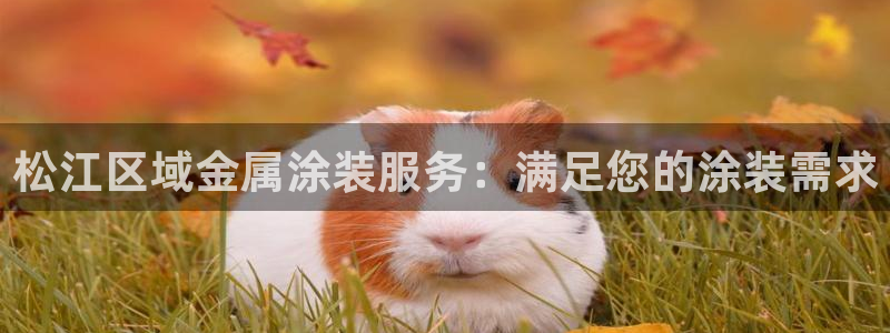 美高梅大酒店有多少分店