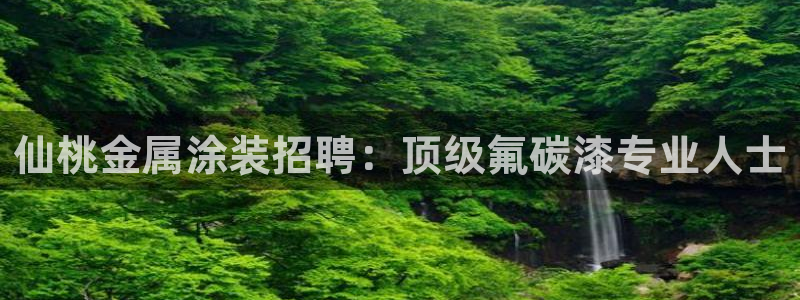 美狮美高梅酒店里的娱乐场承包出去了吗