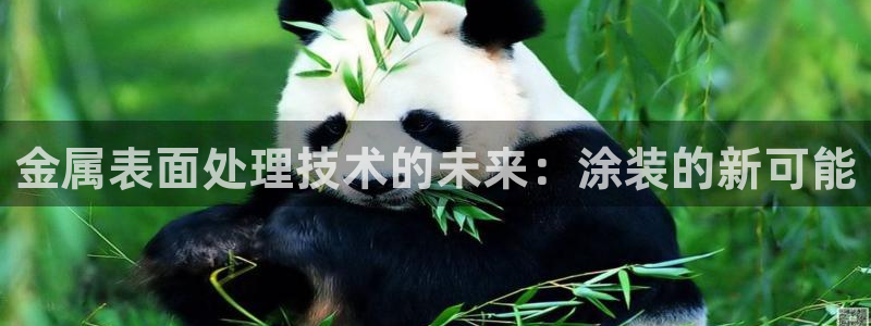 美狮美高梅酒店何超