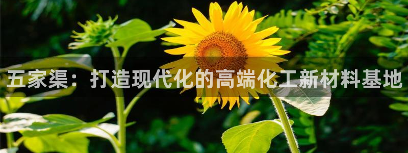 美狮美高梅酒店贵还是摩泊斯贵：五家渠：打