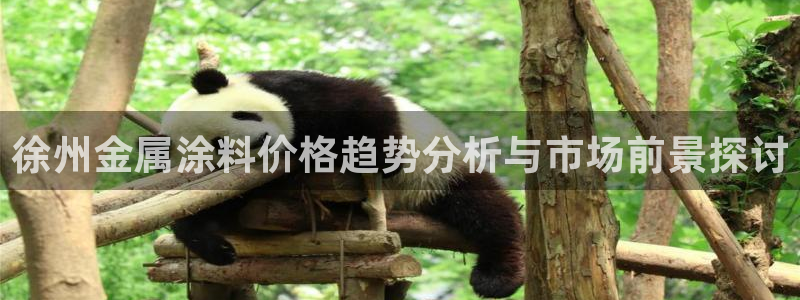 美高梅集团总部在哪