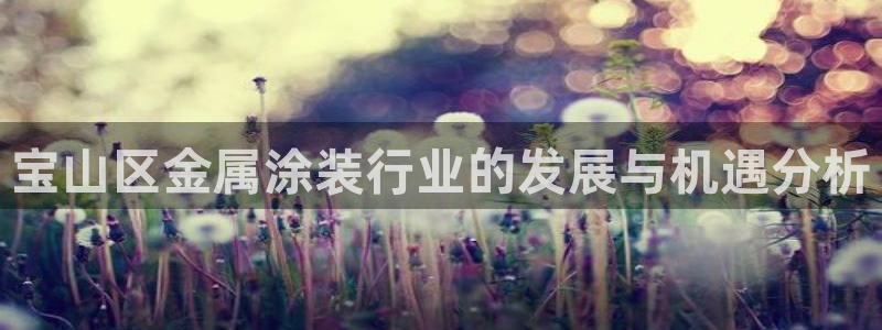 美高梅和米高梅是什么关系呀